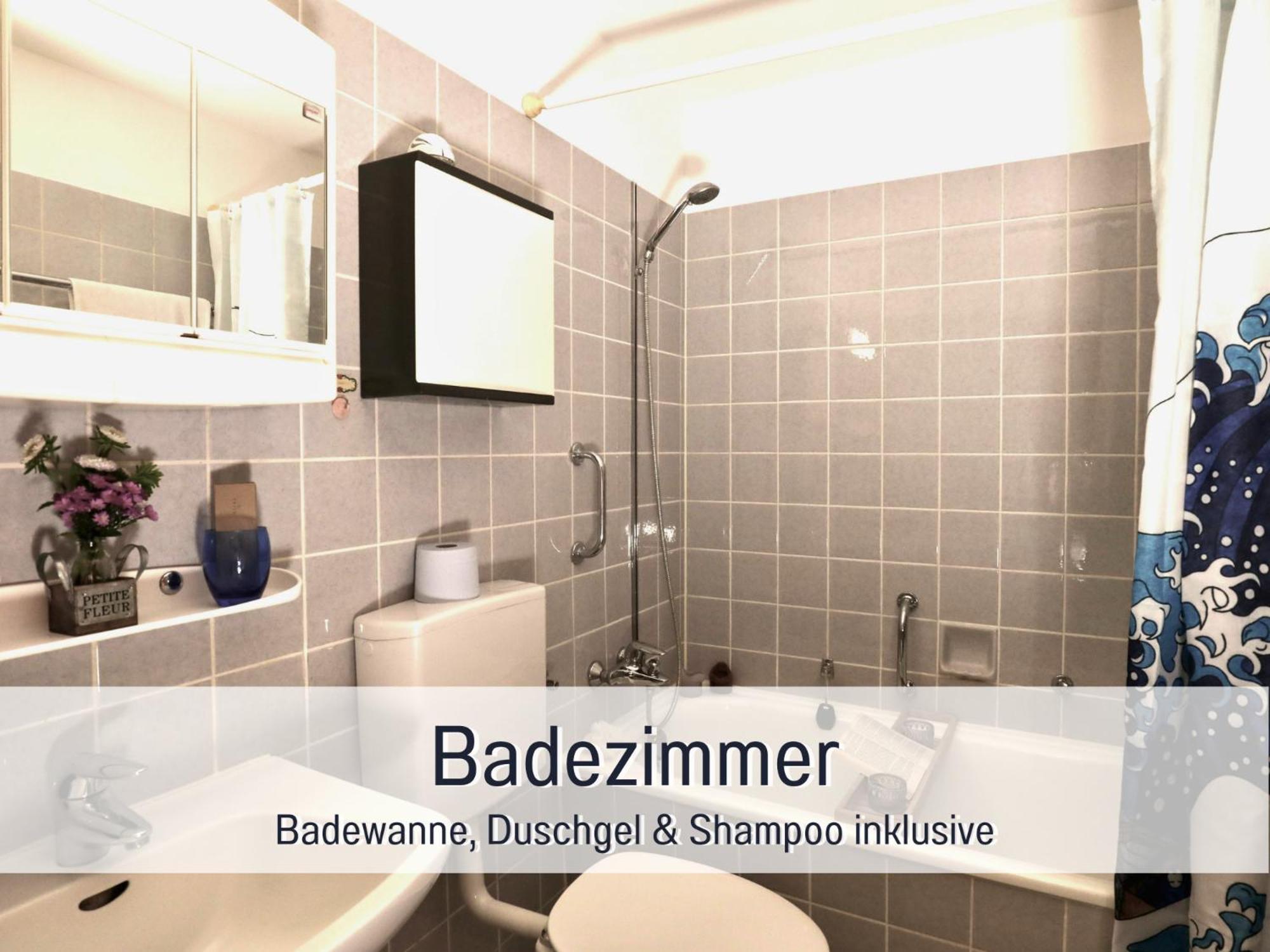 Perfekt Fuer Paerchen, Mit Rheinblick Und Kostenlosem Parkplatz Appartement *