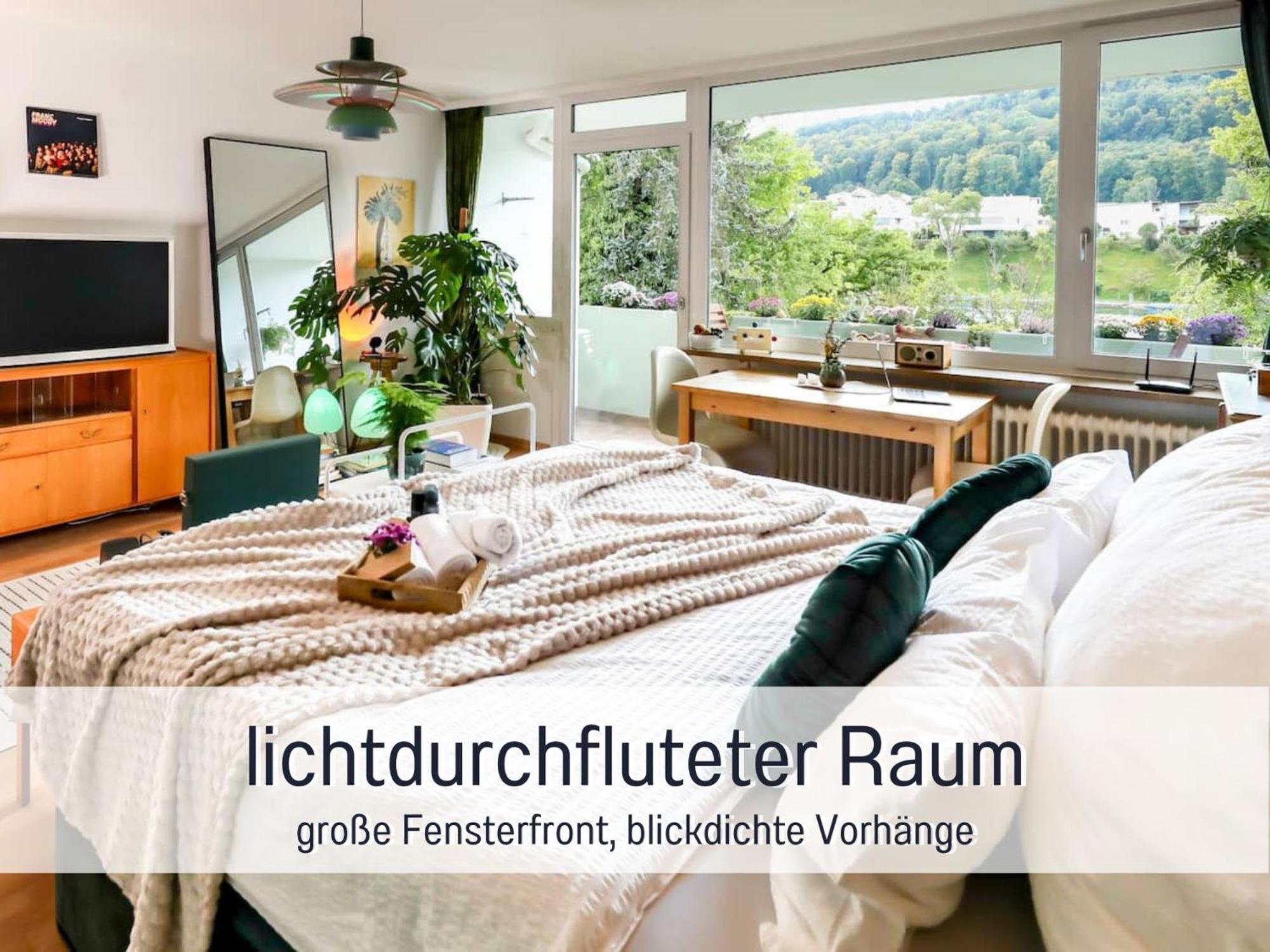 Perfekt Fuer Paerchen, Mit Rheinblick Und Kostenlosem Parkplatz *