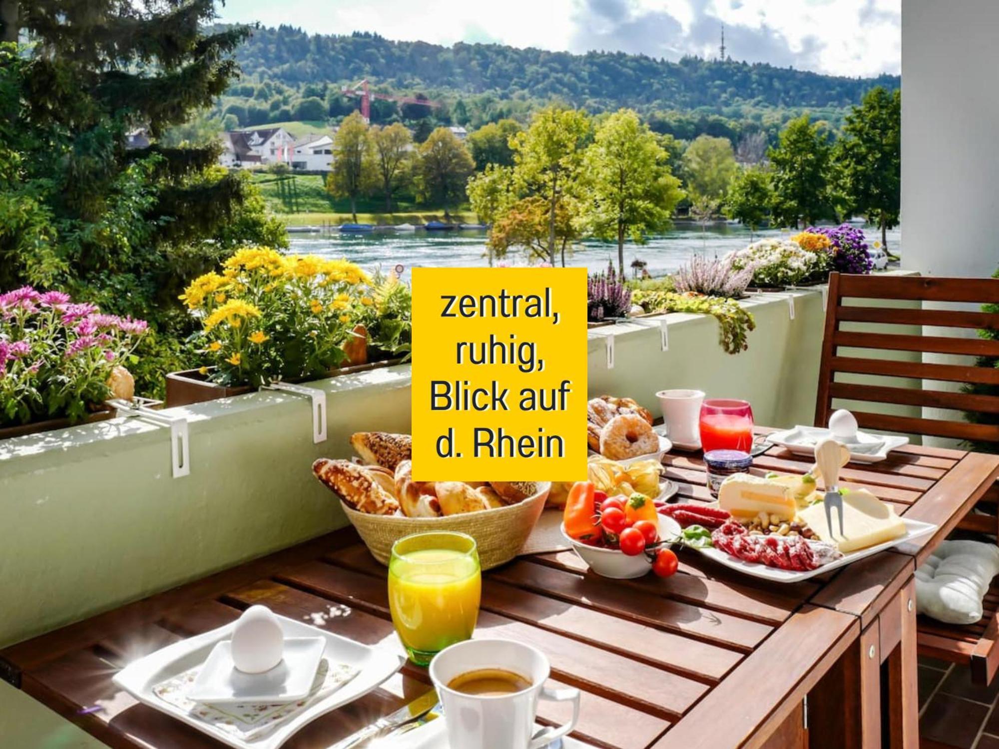 Appartement Perfekt Fuer Paerchen, Mit Rheinblick Und Kostenlosem Parkplatz Busingen am Hochrhein