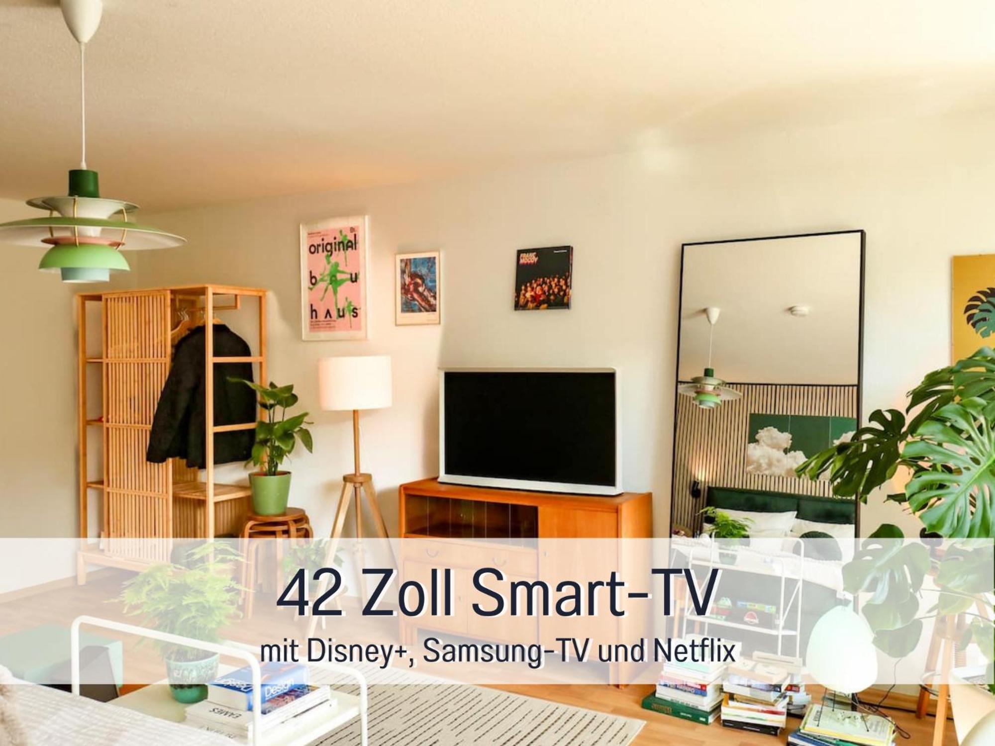 Apartamento Perfekt Fuer Paerchen, Mit Rheinblick Und Kostenlosem Parkplatz *