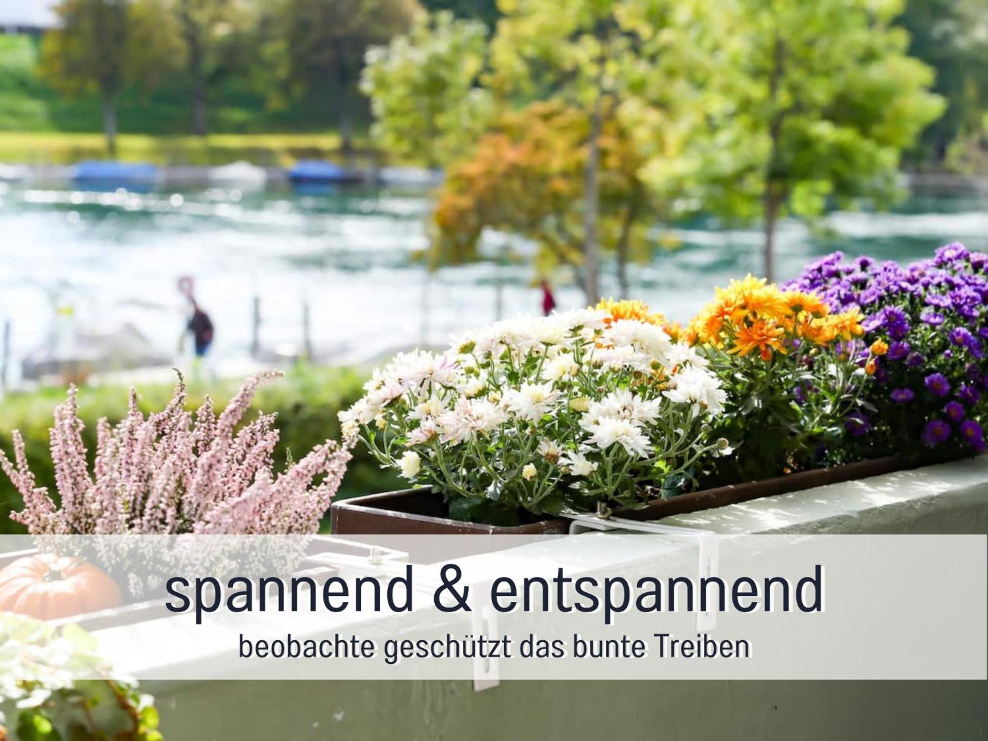 Apartamento Perfekt Fuer Paerchen, Mit Rheinblick Und Kostenlosem Parkplatz *